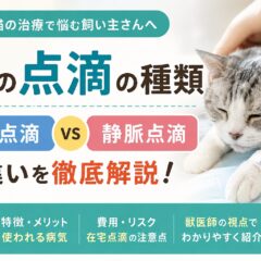 猫の点滴の種類｜皮下点滴と静脈点滴の違いを徹底解説