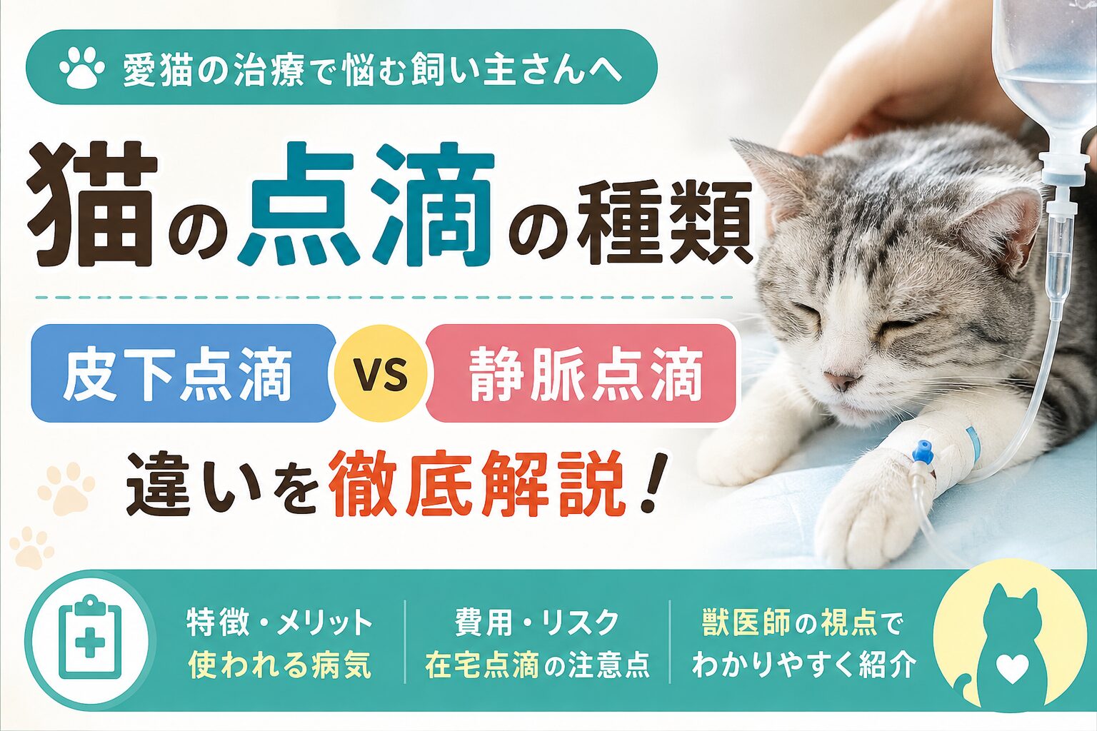 猫の点滴の種類｜皮下点滴と静脈点滴の違い