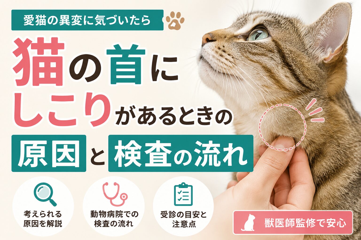 猫の首にしこりがある