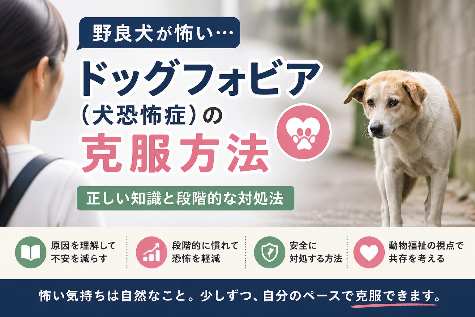 野良犬が怖い・恐怖症（ドッグフォビア）の克服方法
