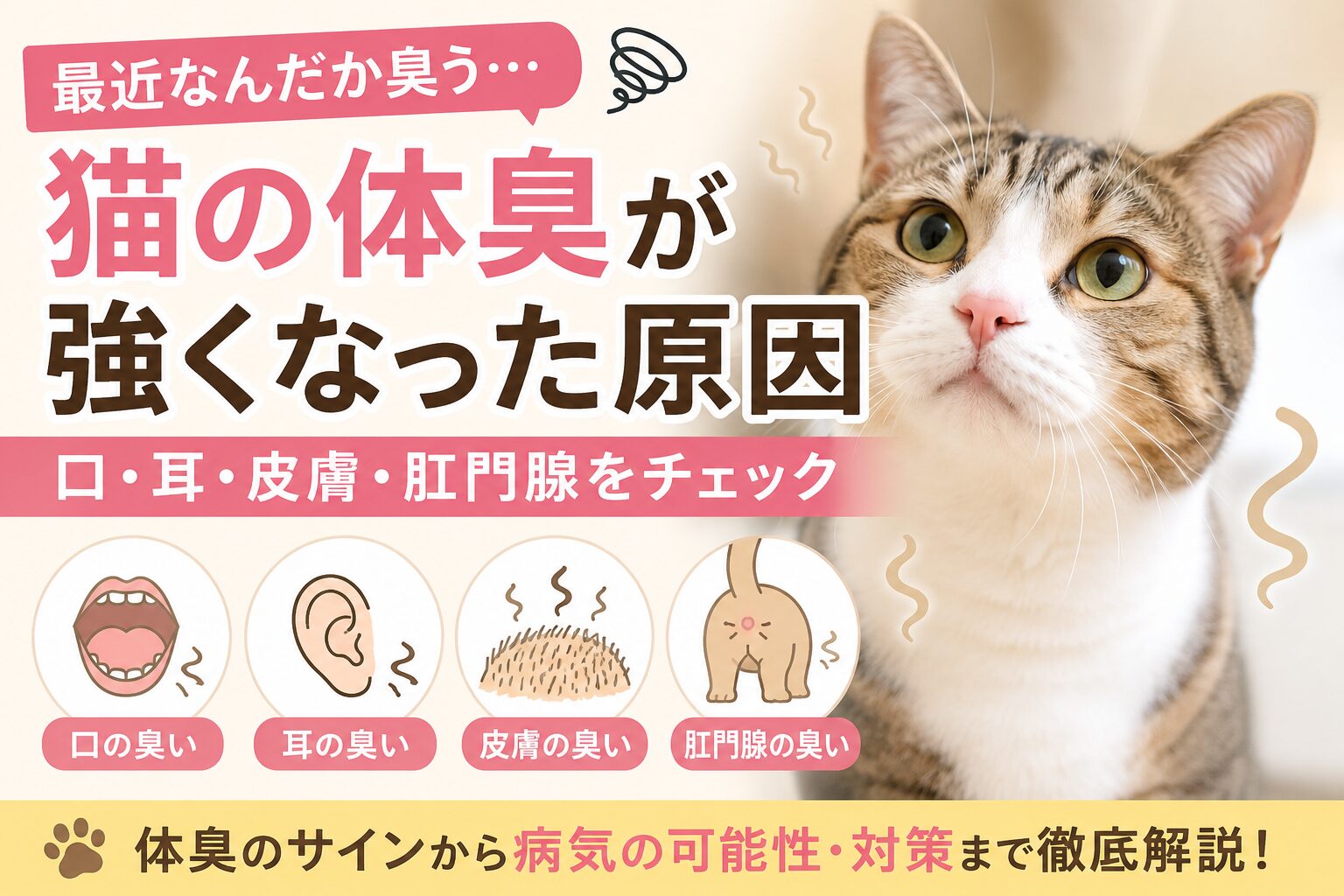 猫の体臭が強くなった原因