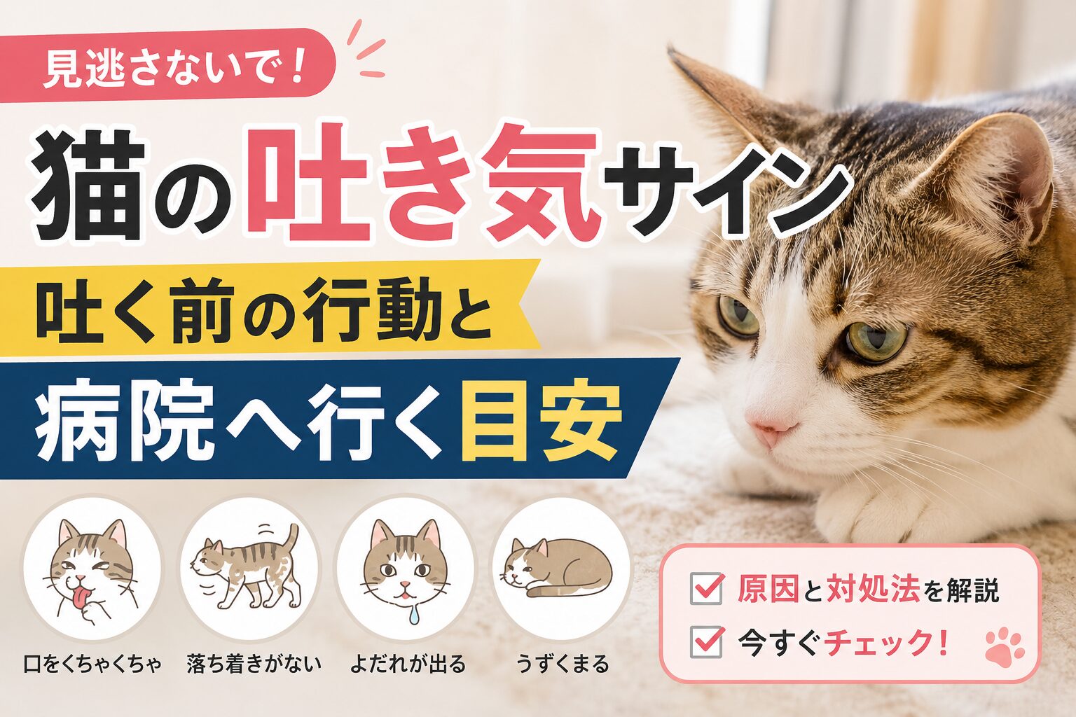 猫の吐き気サイン