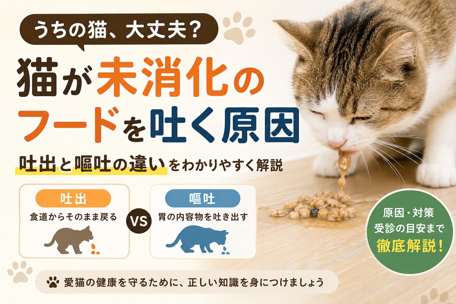 猫が未消化のフードを吐く原因