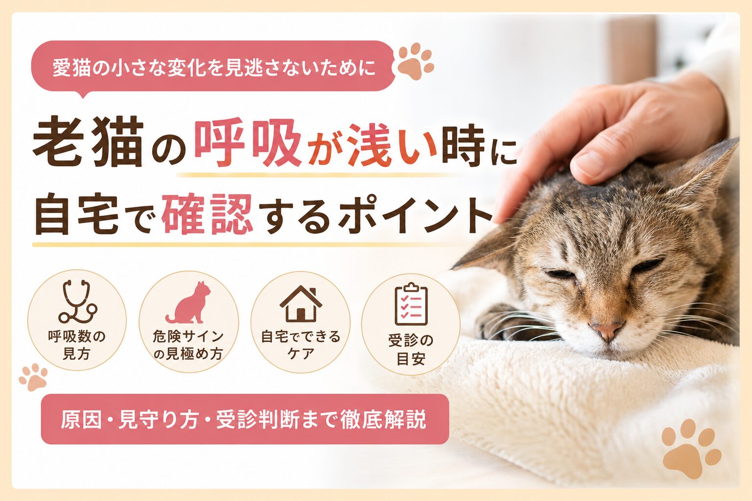 老猫の呼吸が浅い時に自宅で確認するポイント