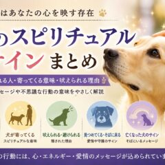 犬のスピリチュアルサインまとめ｜犬に好かれる人・寄ってくる意味・吠えられる理由