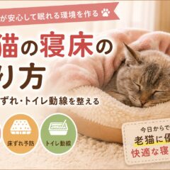 老猫の寝床の作り方｜体温・床ずれ・トイレ動線を整える完全ガイド