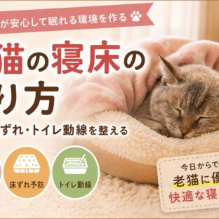 老猫の寝床の作り方｜体温・床ずれ・トイレ動線を整える完全ガイド