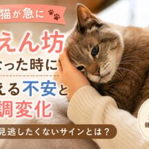 老猫が急に甘えん坊になった時に考える不安と体調変化｜獣医師監修・動物福祉の視点から解説