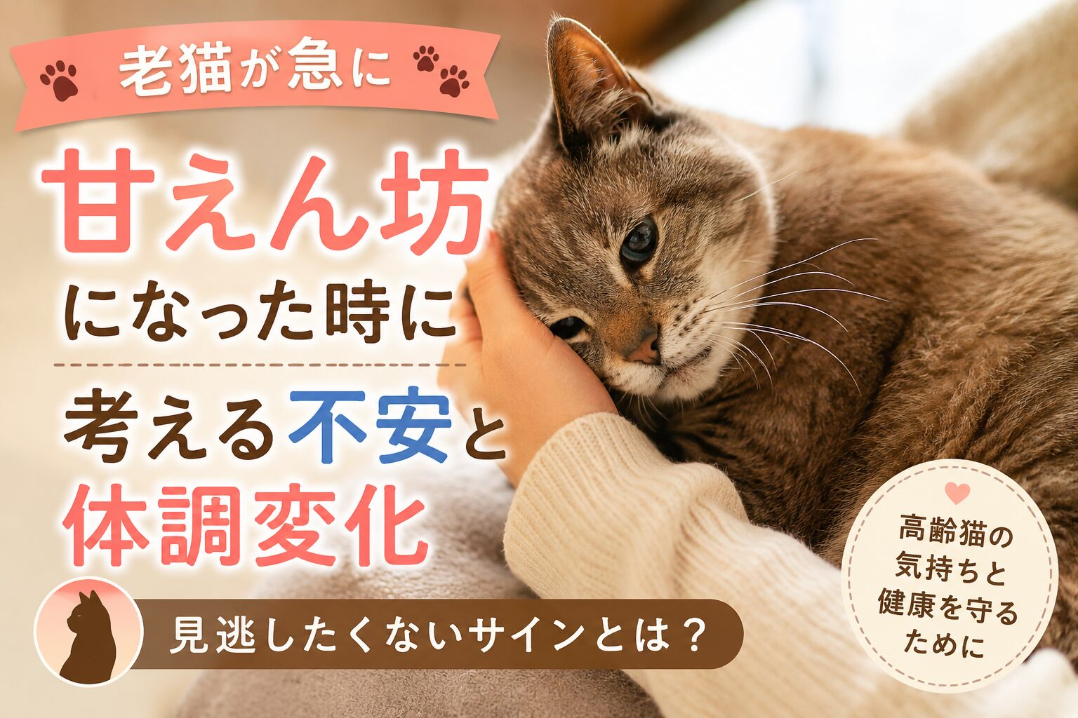 老猫が急に甘えん坊になった時に考える不安と体調変化