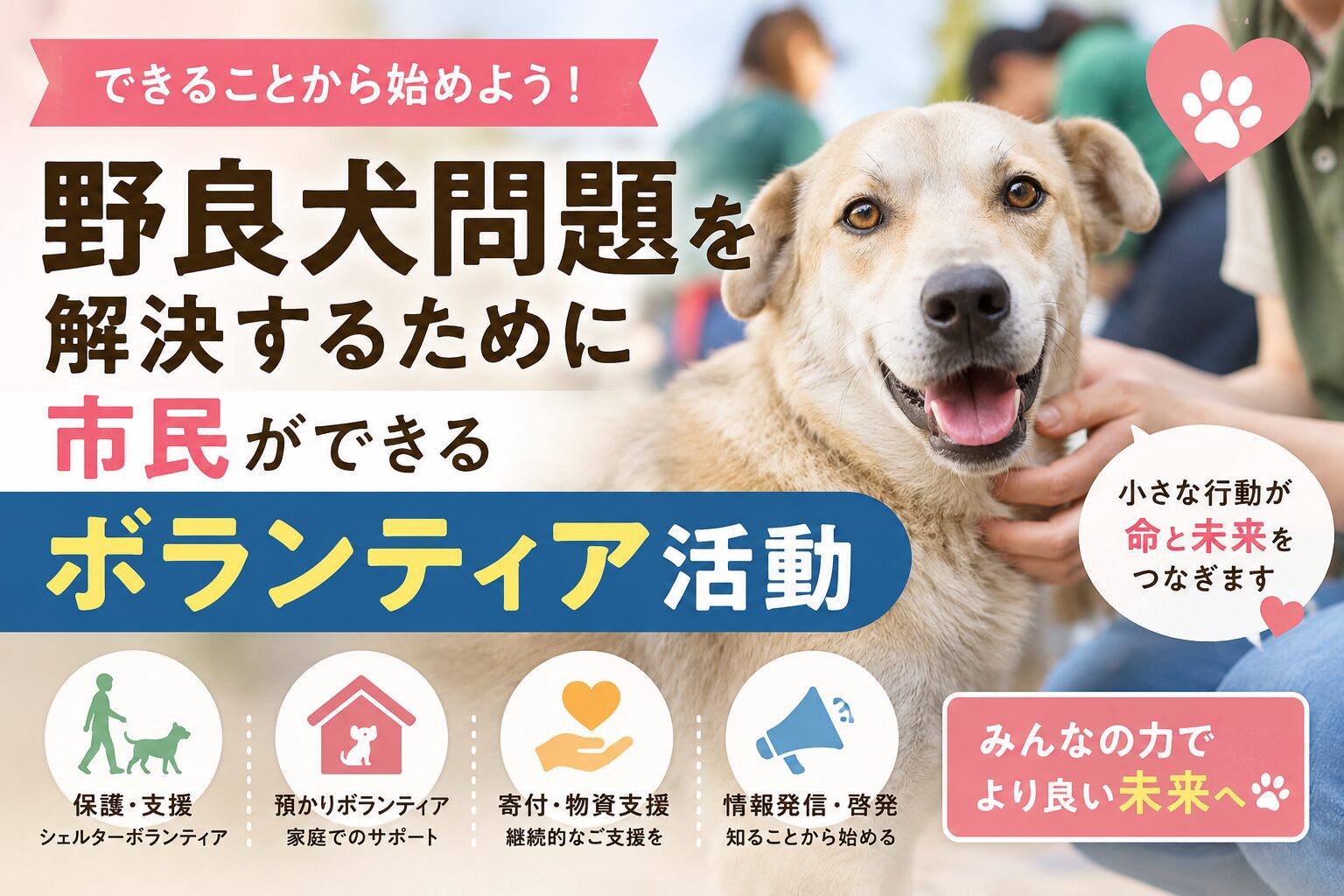 野良犬問題を解決するために市民ができるボランティア活動