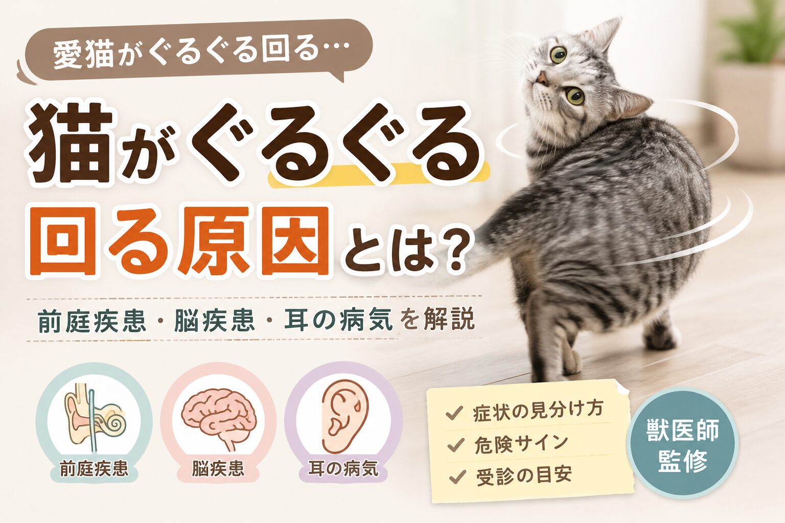 猫がぐるぐる回る原因