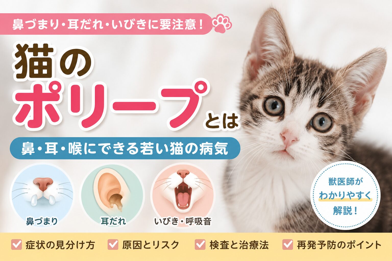 猫のポリープとは