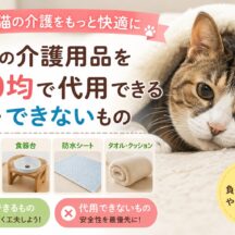老猫の介護用品を100均で代用できるもの・できないもの｜獣医師監修の視点から徹底解説