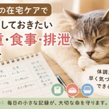 老猫の在宅ケアで記録しておきたい体重・食事・排泄メモ｜獣医師も推奨するホームケア管理術