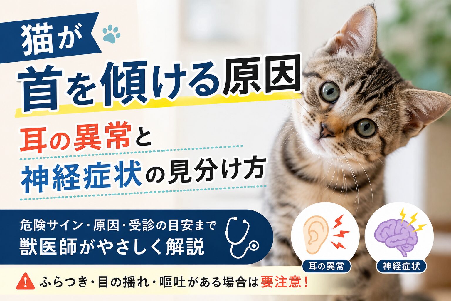 猫が首を傾ける原因