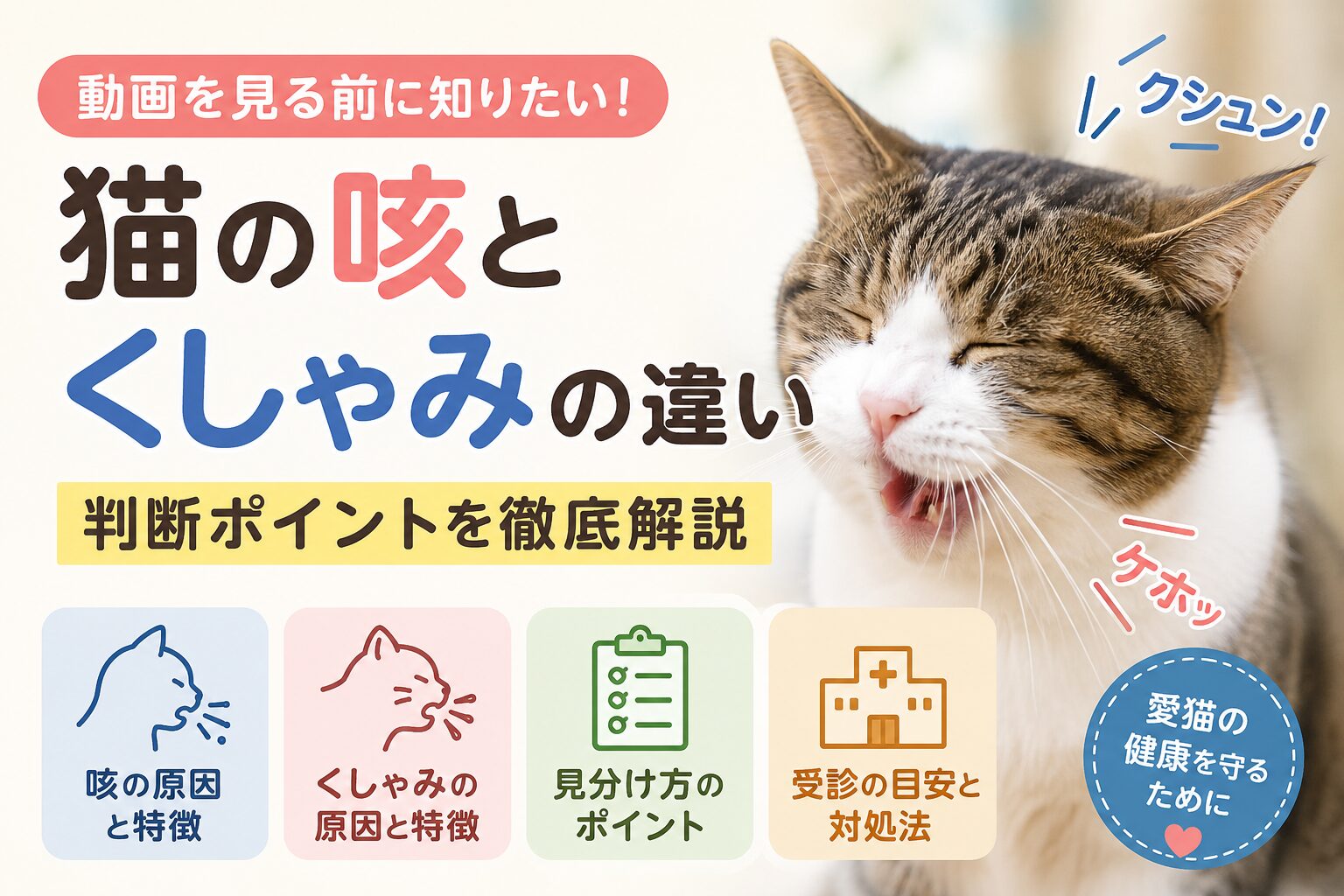 猫の咳とくしゃみの違い