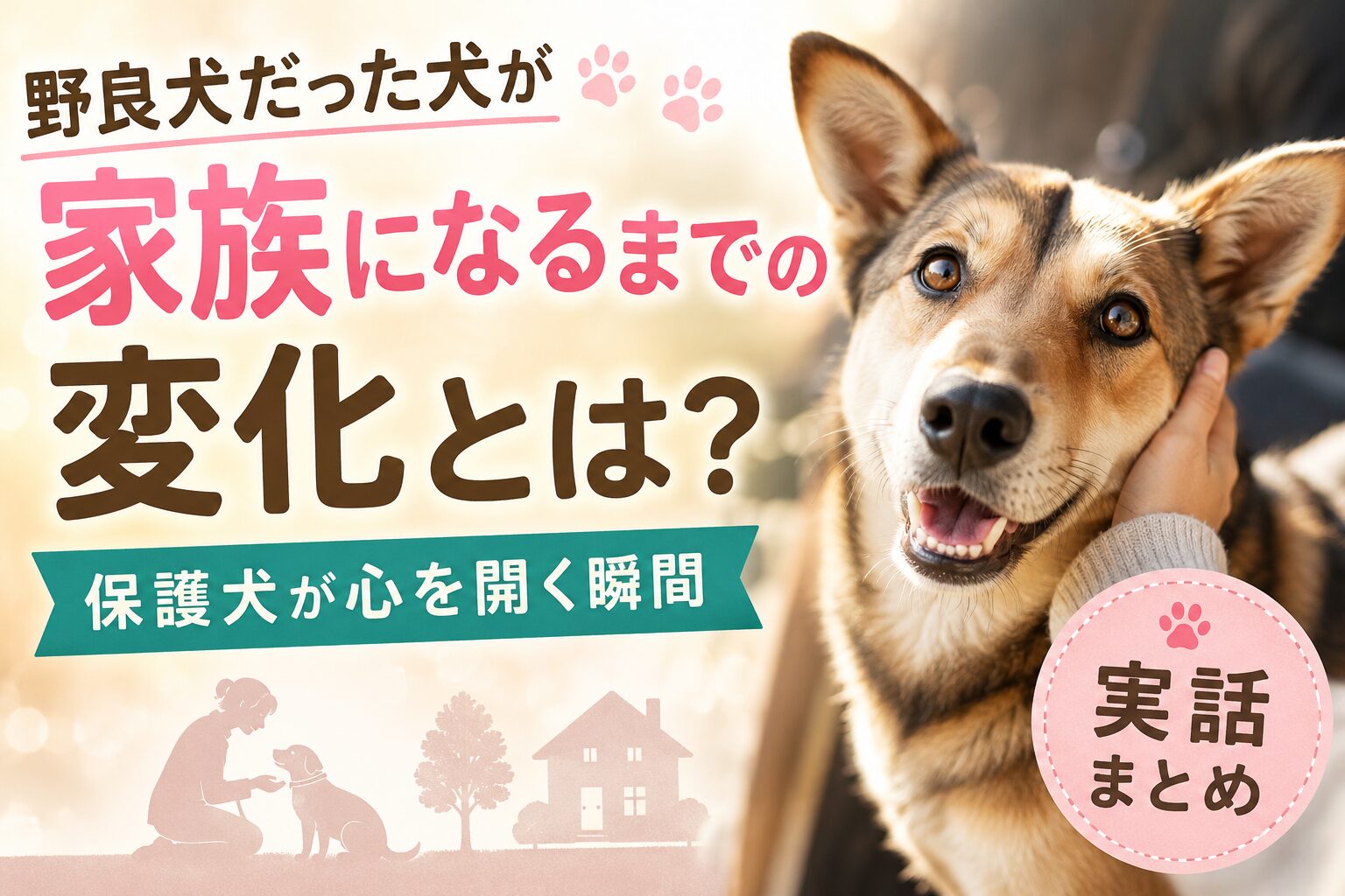 野良犬が家族になるまでの変化・実話まとめ