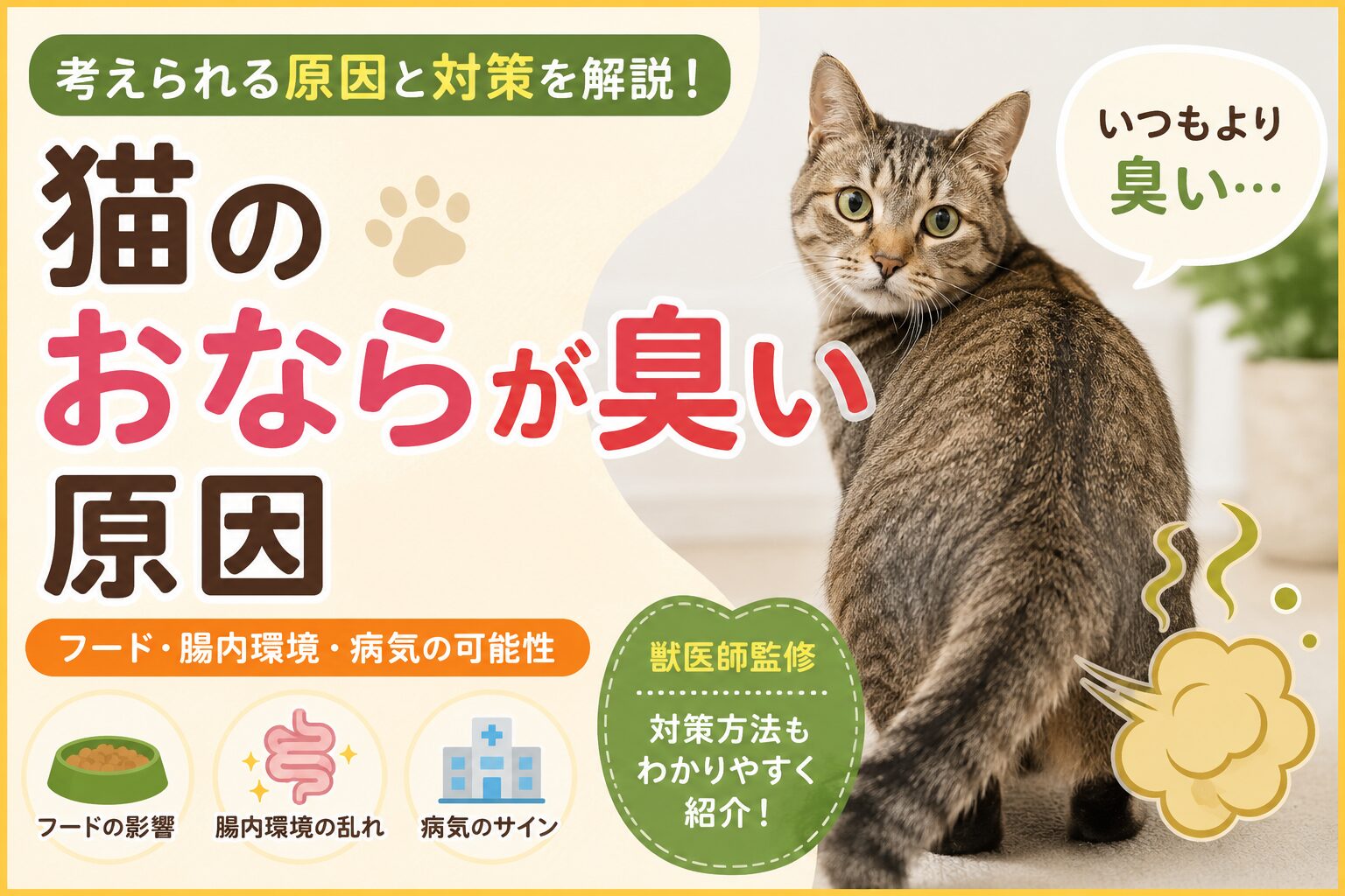 猫のおならが臭い原因