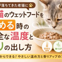 老猫のウェットフードを温める正しい温度と香りの引き出し方【獣医師監修レベルの完全ガイド】