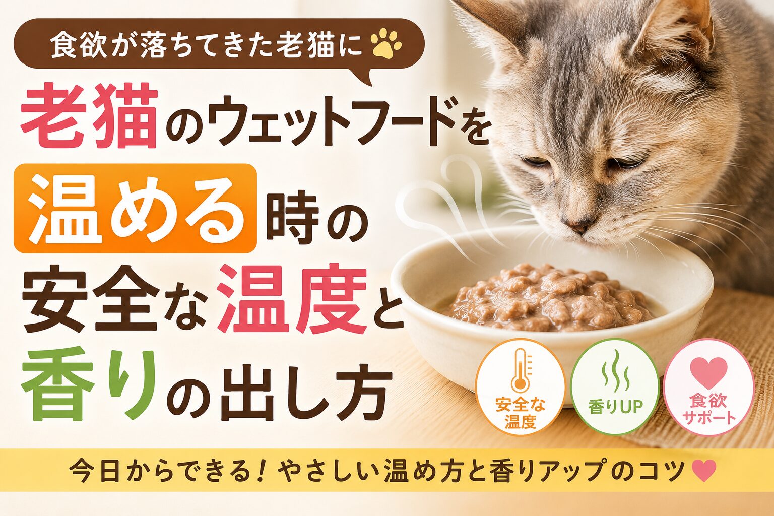 老猫のウェットフードを温める正しい温度と香りの引き出し方