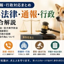 犬の法律・通報・行政対応まとめ｜動物愛護法・保健所・通報先を総合解説