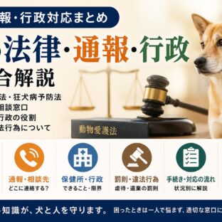 犬の法律・通報・行政対応まとめ｜動物愛護法・保健所・通報先を総合解説