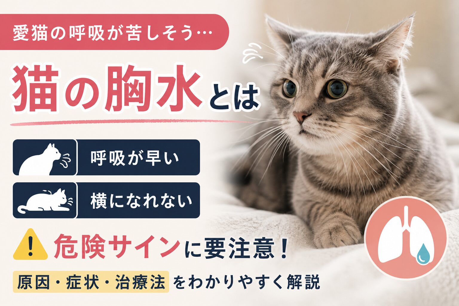 猫の胸水とは