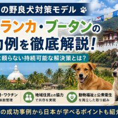 野良犬問題の海外成功モデルとは？スリランカ・ブータンに学ぶ動物福祉の最前線