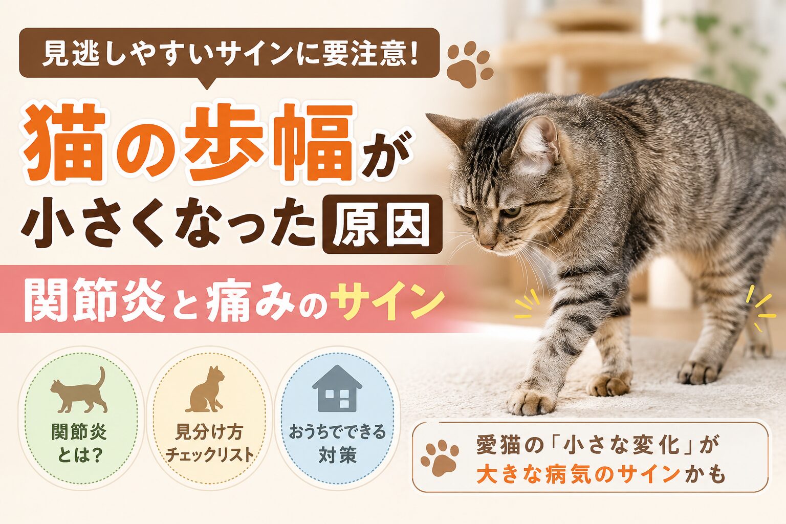 猫の歩幅が小さくなった原因