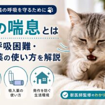 猫の喘息とは｜咳・呼吸困難・吸入薬の使い方を解説