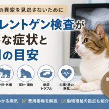 猫のレントゲン検査が必要な症状と費用の目安｜動物福祉の視点から徹底解説