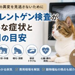 猫のレントゲン検査が必要な症状と費用の目安｜動物福祉の視点から徹底解説