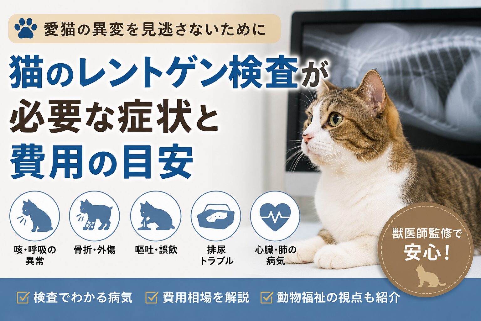 猫のレントゲン検査が必要な症状