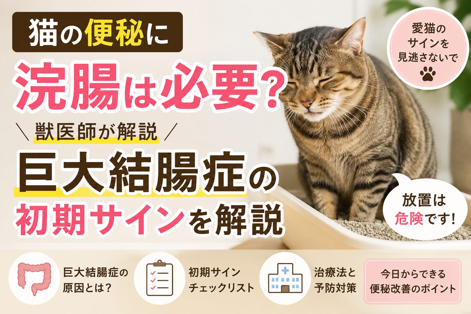 猫の便秘に浣腸は必要?