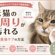 老猫の口周りが汚れる原因と食後ケアの方法｜獣医師監修の完全ガイド