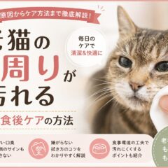 老猫の口周りが汚れる原因と食後ケアの方法｜獣医師監修の完全ガイド