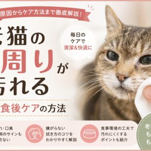 老猫の口周りが汚れる原因と食後ケアの方法｜獣医師監修の完全ガイド