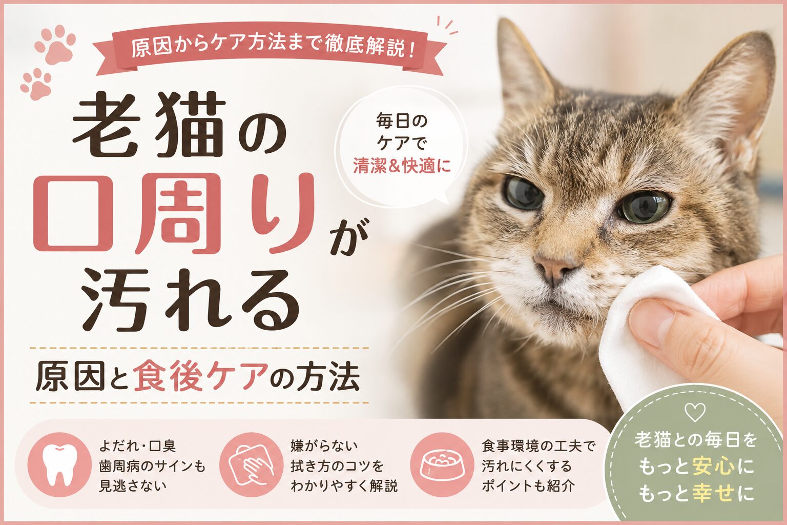 老猫の口周りが汚れる原因と食後ケアの方法