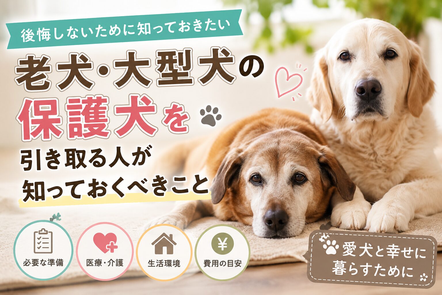 老犬・大型犬の保護犬を引き取る前に知っておくべき8つのこと