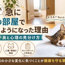 猫が急に別の部屋で寝るようになった理由｜体調不良と心理の見分け方