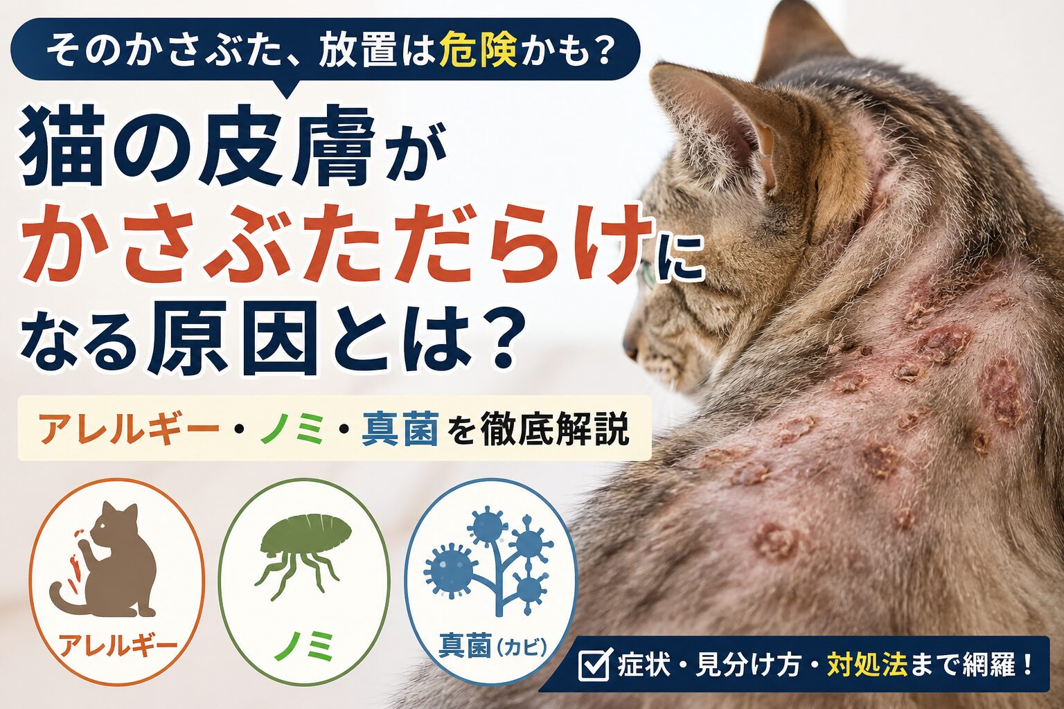 猫の皮膚がかさぶただらけになる原因