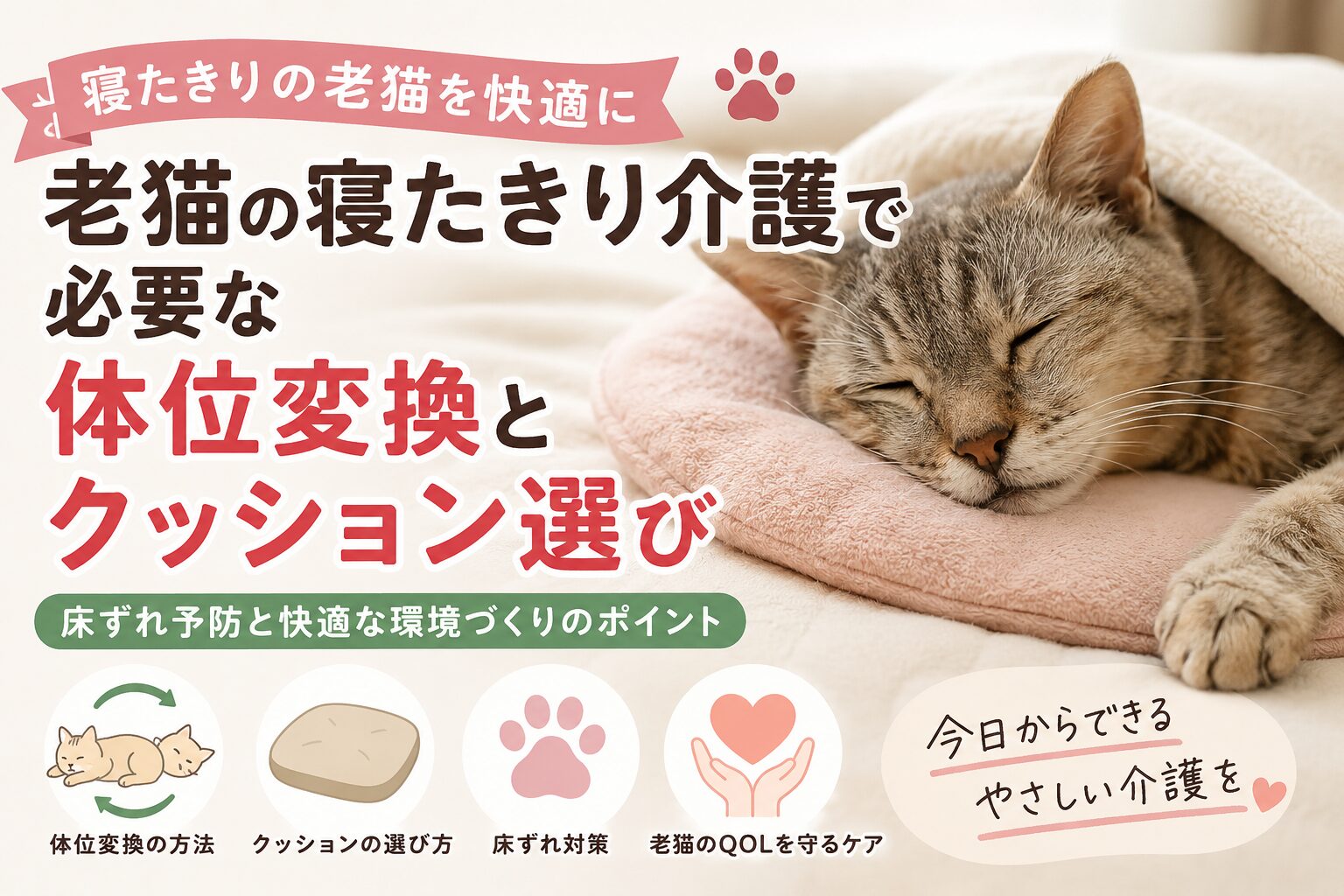 老猫の寝たきり介護で必要な体位変換とクッション選び