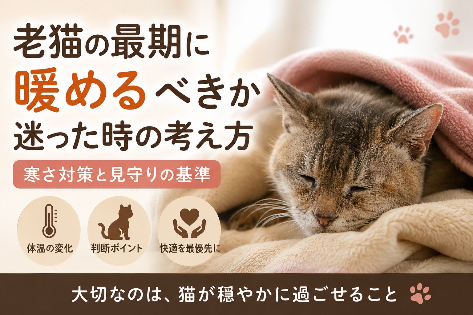 老猫の最期に暖めるべきか迷った時の考え方