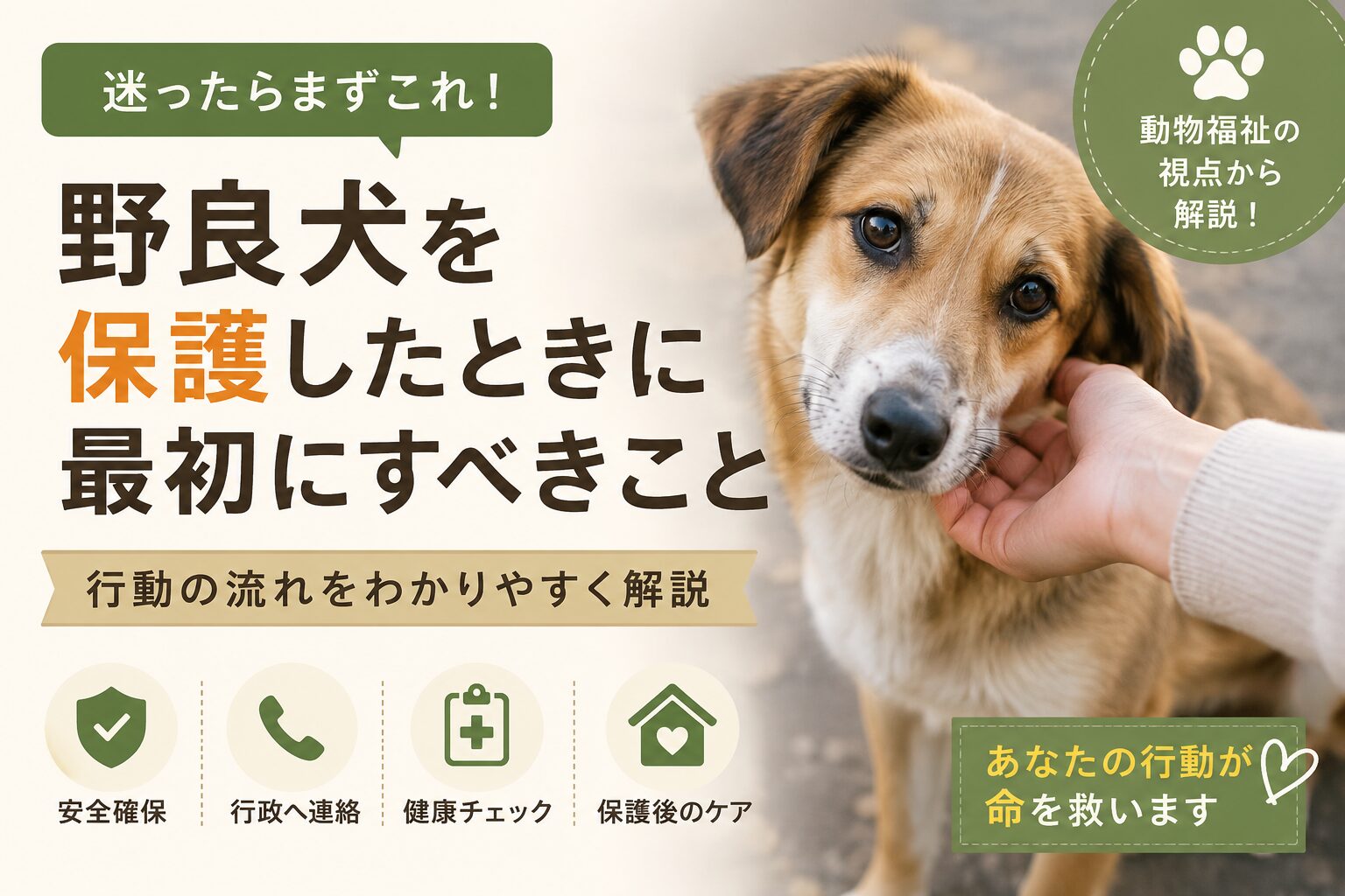 野良犬を保護したときに最初にすべきこと