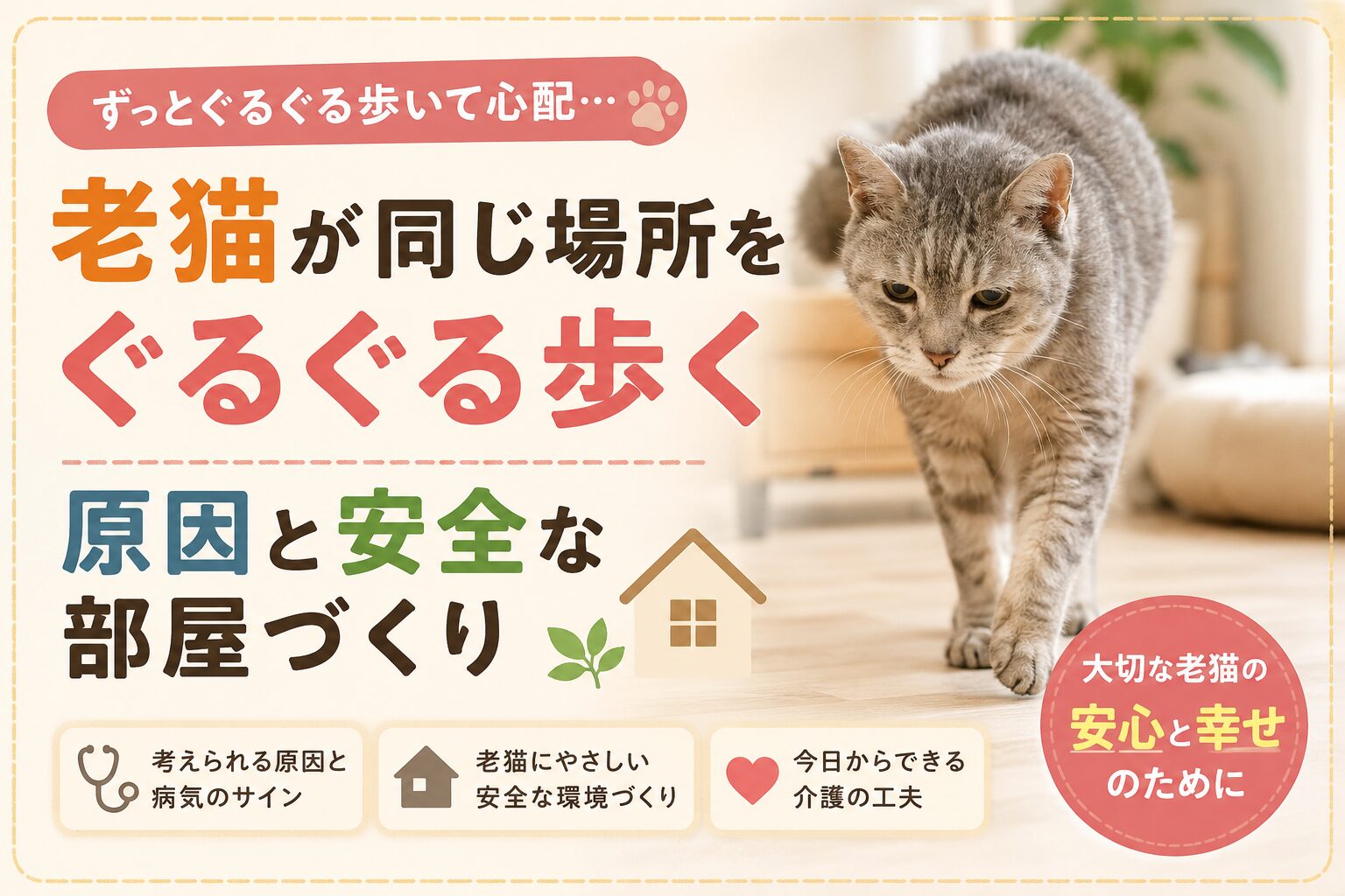 老猫が同じ場所をぐるぐる歩く原因と安全な部屋づくり