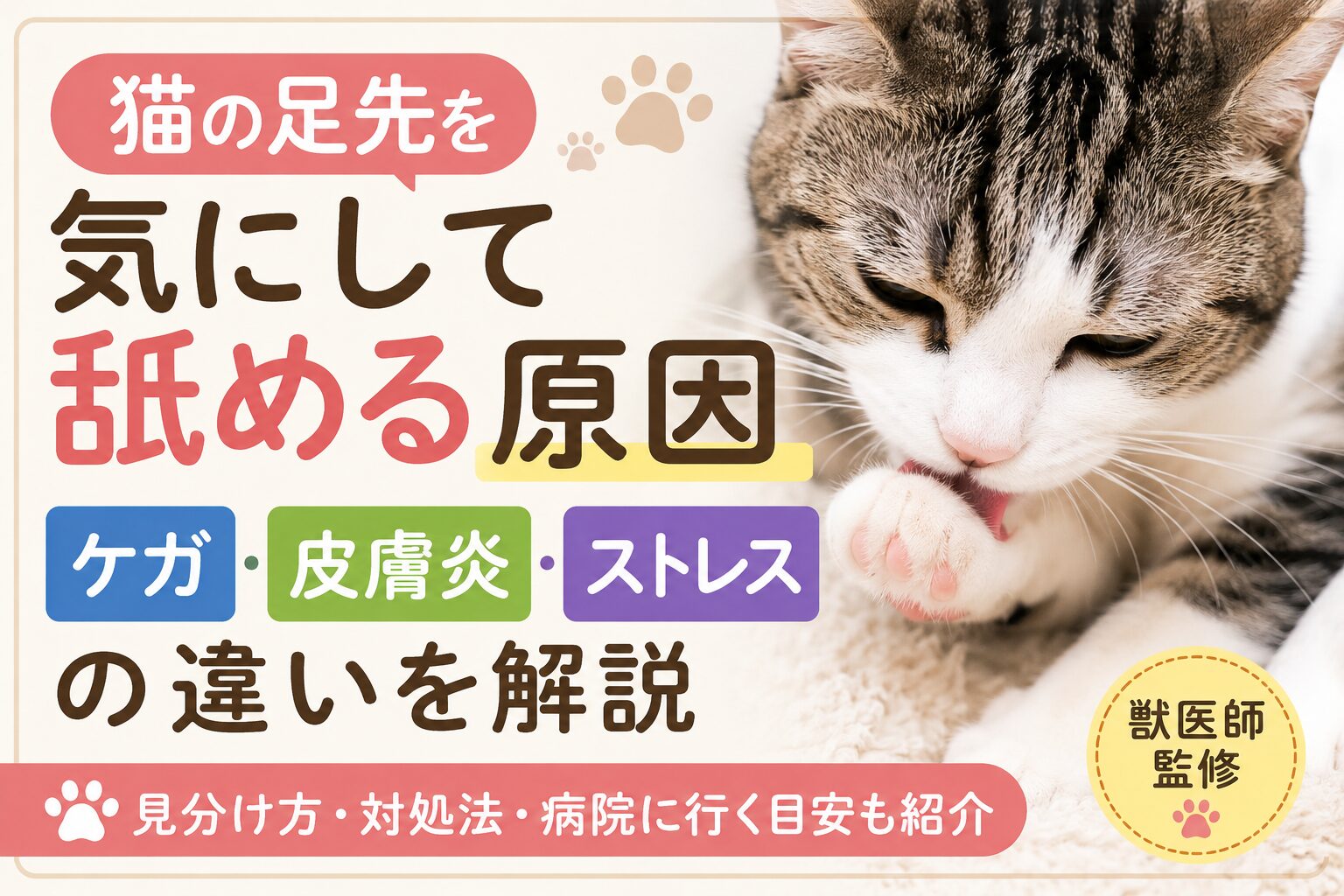 猫の足先を気にして舐める原因