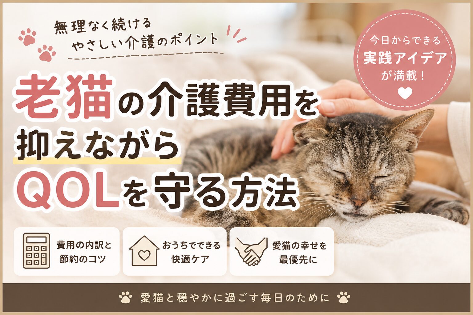 老猫の介護費用を抑えながらQOLを守る方法