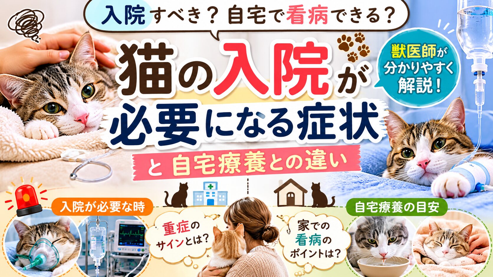 猫の入院が必要になる症状と自宅療養との違い