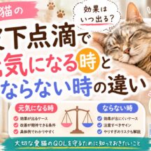 老猫の皮下点滴で元気になる時とならない時の違い｜獣医師も説明する5つの判断基準