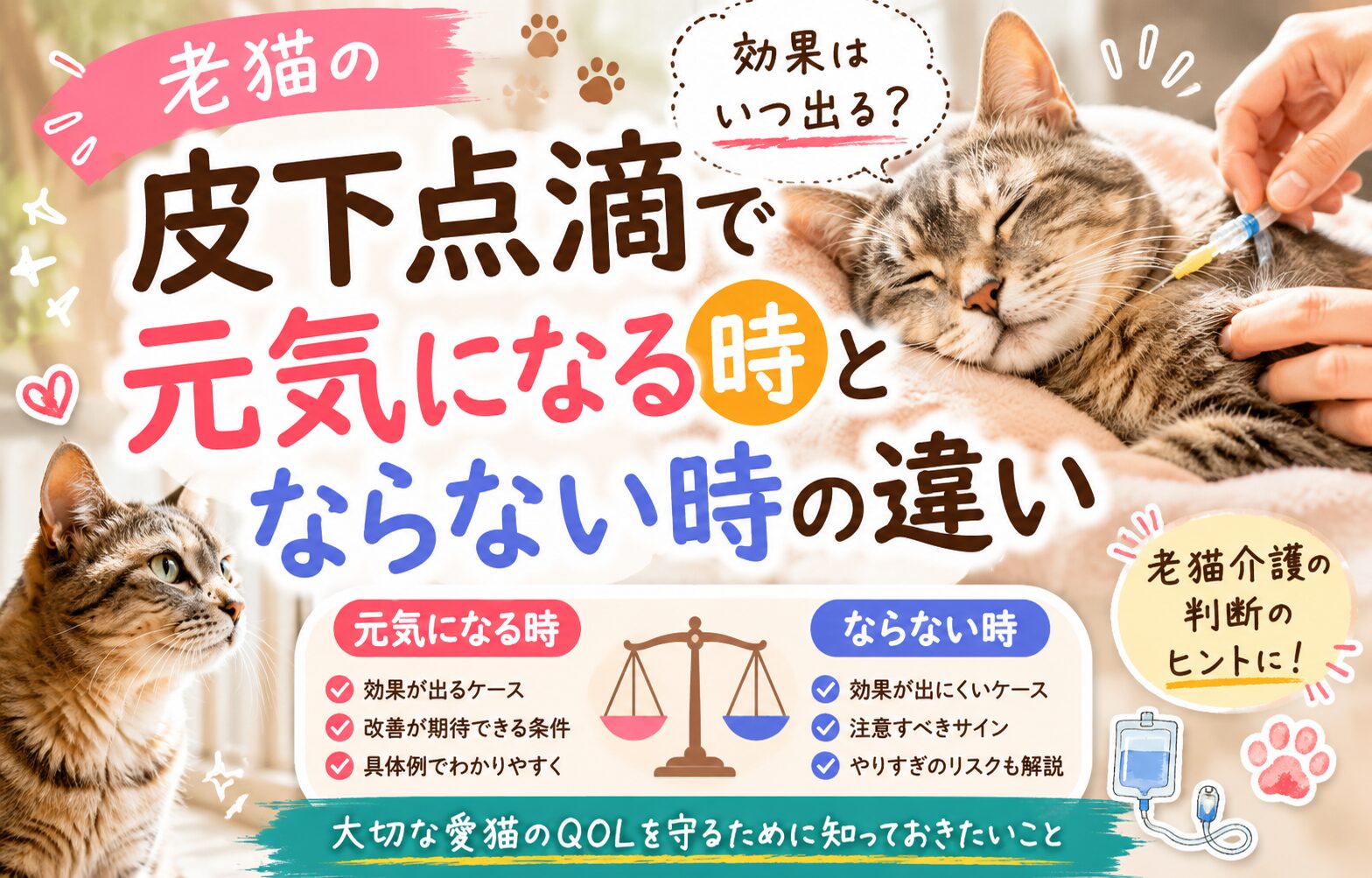 老猫の皮下点滴で元気になる時とならない時の違い